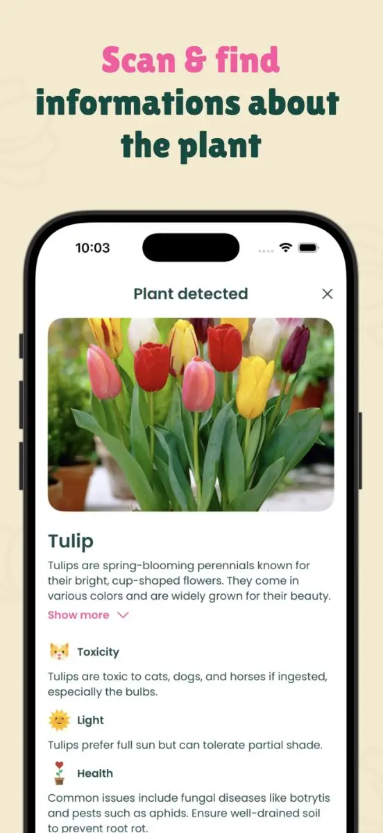 Leaffy - Plant Identifier screenshot 1