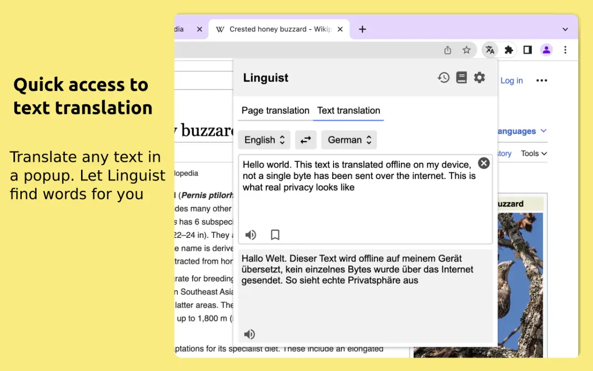 Linguist screenshot 3