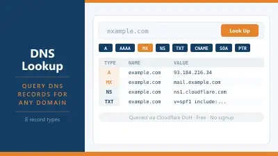 TSH DNS Lookup screenshot 1